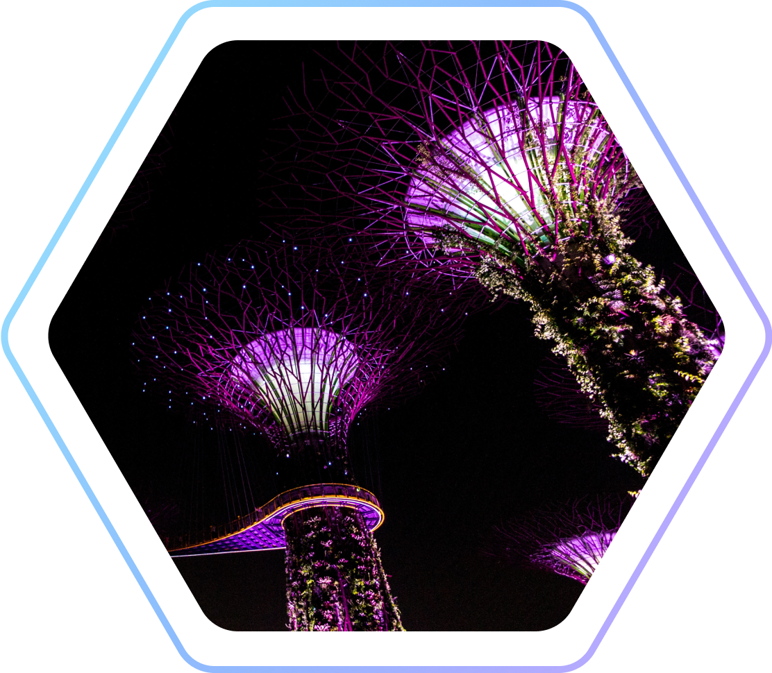 Hexagon_Towers_Purple_Light